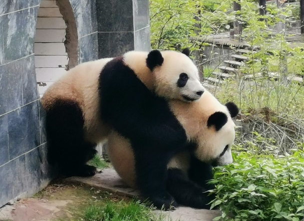 图片2.png