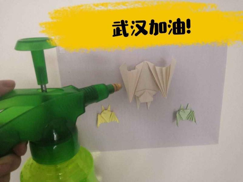 图片17(1).jpg